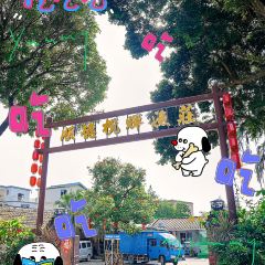 顺德榄晖渔莊·地道顺德菜 User Photo