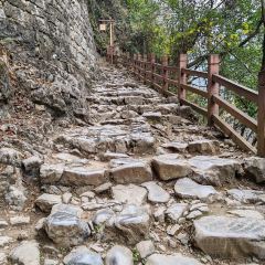 MA SAI SHAO KAO YUAN ảnh của người dùng