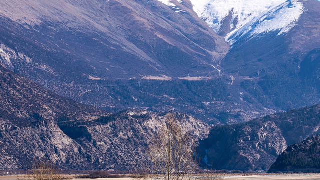 ran wu hu mian fei guan jing tai