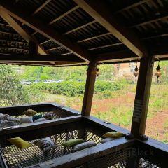 树野融合餐厅 User Photo