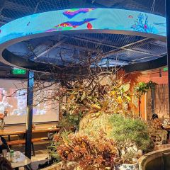 清晨落夜小酒馆 User Photo