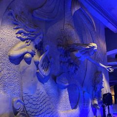 The Siren Bar User Photo