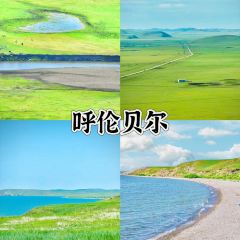乌梁素海 User Photo