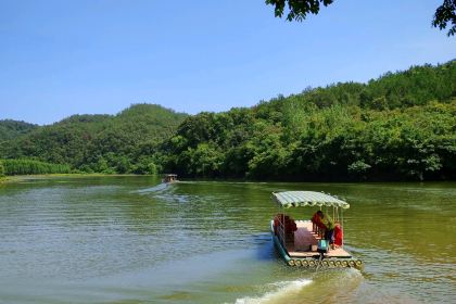 新联生态葡萄采摘园