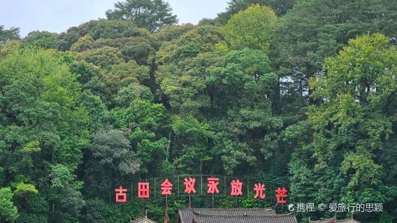 Fengshui Forest of Gutian Conference Site