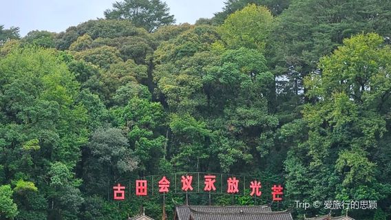 Fengshui Forest of Gutian Conference Site