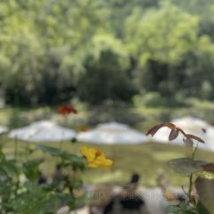 仙乡溪流咖啡 User Photo
