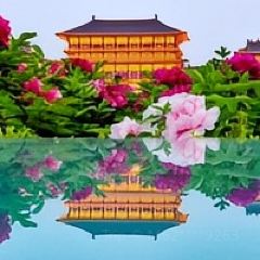 颍阳水席(登封店) User Photo