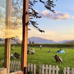 六月瓣咖啡 User Photo