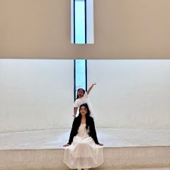 塘口文园小馆 User Photo