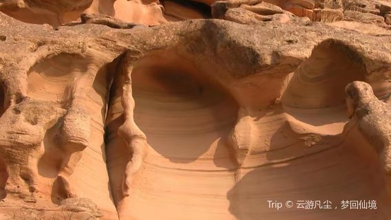 Qikou Yellow River Gallery Water Erosion Relief Scenic Area