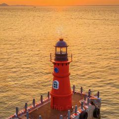 NANAODAO PUNCH IN JUICE ICE COMPANY User Photo