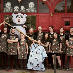 Panda & Sons User Photo