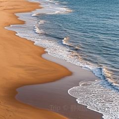 FISHERMAN'S DOCK User Photo