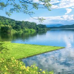 XING JI SUGAR CANE ICE User Photo