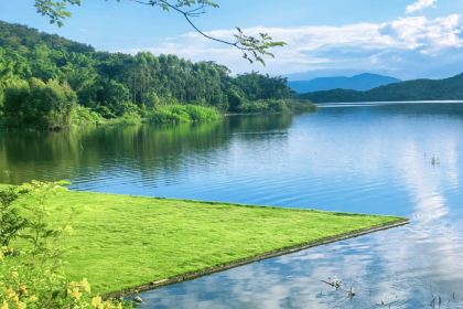 XING JI SUGAR CANE ICE