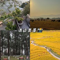 LONG YI FEN JIAO PU User Photo