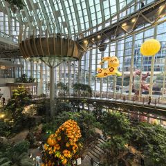 铁路坝小吃街 User Photo