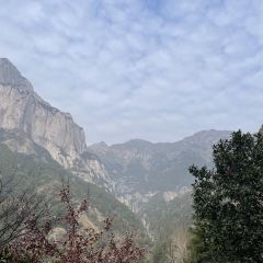 遂昌乐领旗山侠隐庄园·悬崖咖啡馆 User Photo