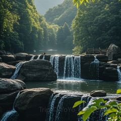 肖家饸饹面总店(郑州总店) User Photo