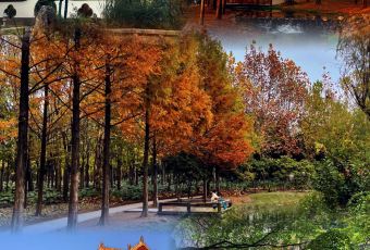 中原农家乐(中原饭店) User Photo