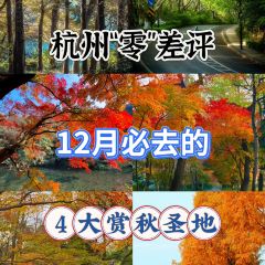 外婆的味道私房餐厅 User Photo