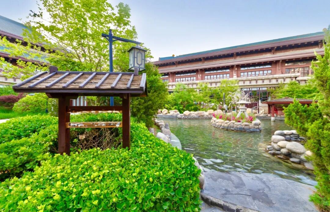 东丽湖景点图片