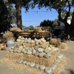 Vista Ranch and Cellars Restaurant 여행 사진