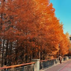 在咖啡INCOFFEE(融侨外滩壹号店) User Photo