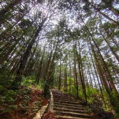 顶三峰餐厅(靖河路店) User Photo