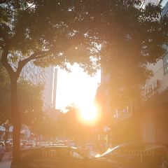 NEW JOYFUL HOTEL·CHINESE RSTAURANT User Photo