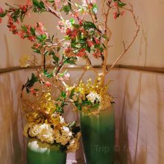 DONG DA FANG User Photo