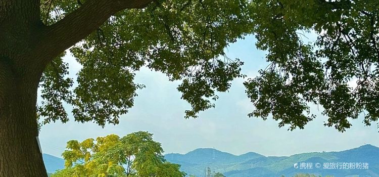 竹隐钢琴乐餐厅