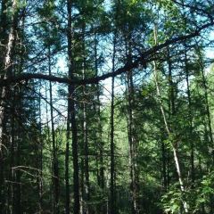 AO LU GU YA User Photo