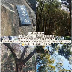 陶四喜火锅(五里店店) User Photo