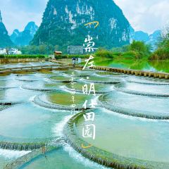 西贡咖啡(明仕店) User Photo