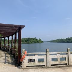 桂庭院农家乐 User Photo