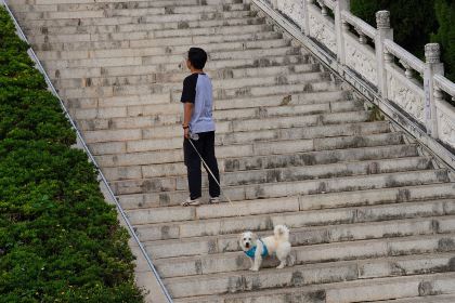 鸿馥养生豆浆鸡火锅(弥勒店)