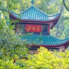 橘子洲头(天仙路店) 여행 사진