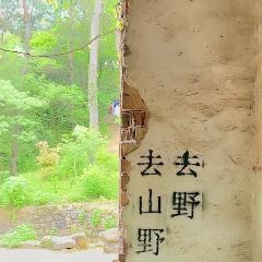 清雅茶苑(山湾里店) User Photo