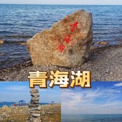 青海湖藏趣部落民宿·特色餐厅 User Photo