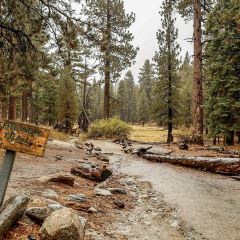 Pines Cafe at The Palm Springs Aerial Tramway Summit 여행 사진
