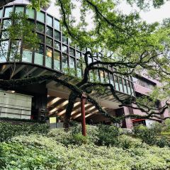 Cheung Kung Koon User Photo