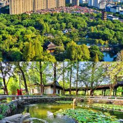 西部牛扒城張用戶圖片