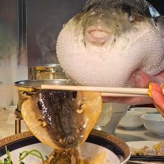 鲐赏河豚(徐汇店) User Photo