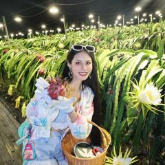 虎婆香草鴨·海南大排檔（清水灣美食街店）張用戶圖片