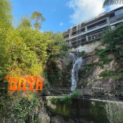 YUNYA COFFEE User Photo