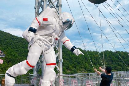 Tonglurendapaidang (yangguang)