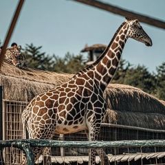 唐宴（青果巷店）張用戶圖片