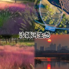 张记逍遥胡辣汤(大坑沿街店) User Photo